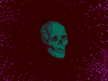 scull skull