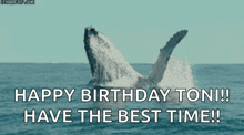 a whale is jumping out of the water with the words happy birthday toni