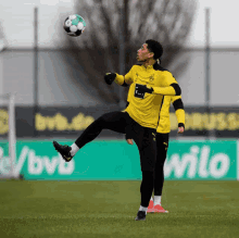 Bellingham Borussia Dortmund GIF - Bellingham Borussia Dortmund Future Star GIFs