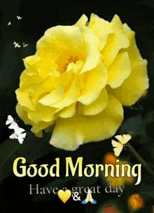 a picture of a yellow rose with butterflies and the words good morning have a great day