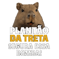 a picture of a capybara with the words plantao da treta segura essa bomba on the bottom