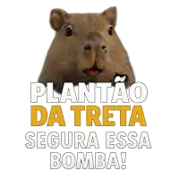 a picture of a capybara with the words plantao da treta segura essa bomba on the bottom