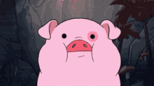 Pig Cuteness GIF