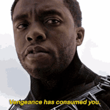 Black Panther Vengeance Has Consumed You GIF - Black Panther Vengeance Has Consumed You Tchalla GIFs