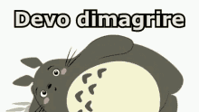 Dimagrire Devo Dimagrire Palestra Ginnastica Post Natale Totoro GIF