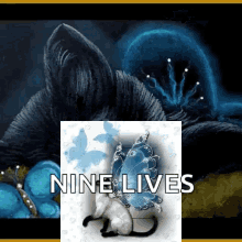 kitty nine lives sparkles cats wings
