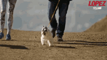 Benny Walking GIF - George Lopez Walking Dog GIFs