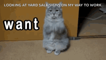 Yard Sale Wants GIF - Yard Sale Wants Cat Wants GIFs