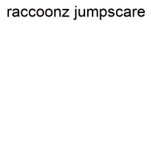 Raccoonz Jumpscare GIF - Raccoonz Jumpscare Scary GIFs