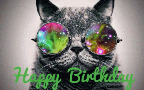 Birthday celebration with dj cat gif - Animals - Birthday Greeting