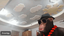 обезьяна макака GIF - обезьяна макака шляпа GIFs