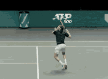 Tennisgif Tennisgifs GIF