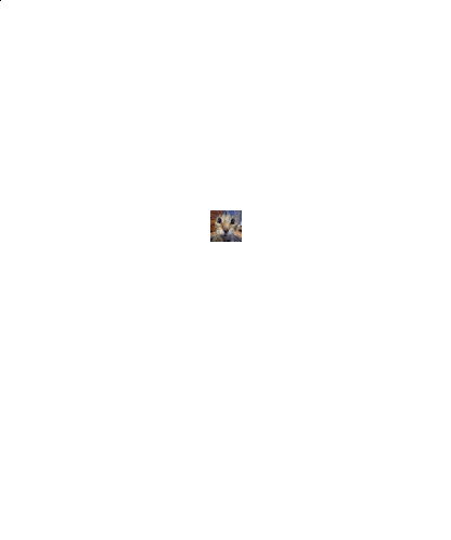 guh-cat.gif