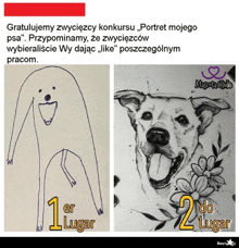 Doggo Drawing Contest Meme GIF - Doggo Drawing Contest Meme GIFs