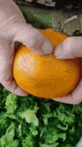 a person is holding a pumpkin over a bowl of broccoli
