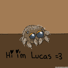 Lucas Lucas The Spider GIF - Lucas Lucas The Spider Lucas Name GIFs