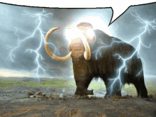 lightning mammoth