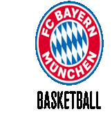 Logo Basketball Sticker