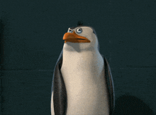 Pingki Penguin Penguins GIF - Pingki Penguin Pingki Penguin GIFs