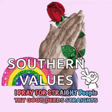a poster that says southern values on it