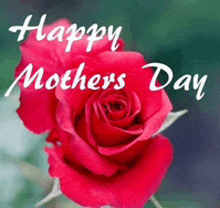 a red rose with the words happy mother 's day on it