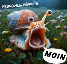 a snail with its mouth open and a speech bubble with the word moin on it