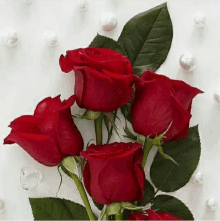Rose Romance GIF - Rose Romance GIFs