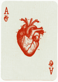 Ace Heart Beat GIF - Ace Heart Beat Heart GIFs