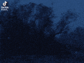 a tree is silhouetted against a dark blue sky with tiktok written on the bottom