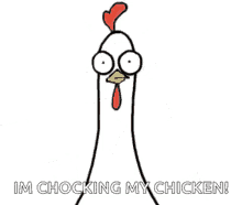 Chicken Chicken Bro GIF
