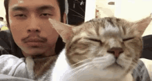 Kucing Angguk GIF - Kucing Cowok Lucu GIFs