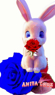 a white rabbit holding a red rose next to a blue rose with anita cruz written on it
