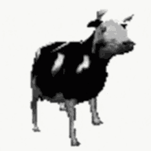 Vaca GIFs | Tenor