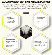 Japan Passenger Car Airbag Market GIF