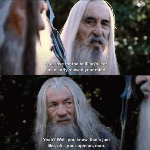 There Thats Just Like Your Opinion Gandalf GIF - There Thats Just Like ...