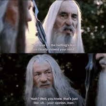 There Thats Just Like Your Opinion Gandalf GIF - There Thats Just Like Your Opinion Gandalf Lotr GIFs