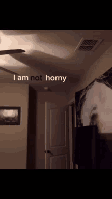 a dark room with the words i am not horny above the door