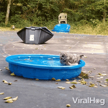 Taking A Bath Viralhog GIF - Taking A Bath Viralhog Cleaning Self GIFs