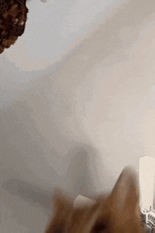 a close up of a cat 's face with a candle in the background