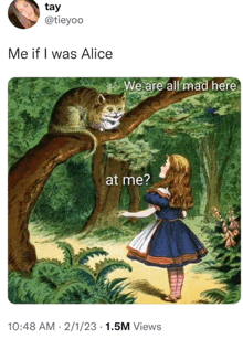 a picture of alice in wonderland with the caption " me if i was alice we are all mad here "