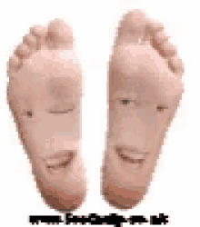 Foot Face GIF - Foot Face GIFs
