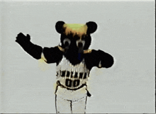 a bear mascot is wearing a jersey that says indiana 00
