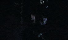 a person is holding flowers in their hand in the dark .