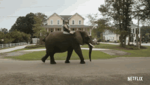 Elephant Walking GIF