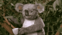 Sfigata Sfortunata Iellata Scalognata Koala GIF - Loser Unlucky Nerd GIFs