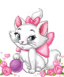 Amor Cute GIF - Amor Cute Cat GIFs