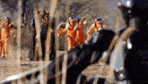 a group of people in orange jumpsuits are standing in a field behind a fence .