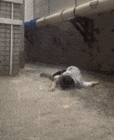 a man laying on the ground in the rain with a sign on the wall that says do not cut