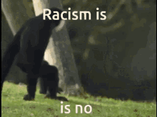 Racismmonkey GIF - Racismmonkey GIFs