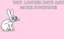 a pink background with a white rabbit and the words yay longer days and more sunshine
